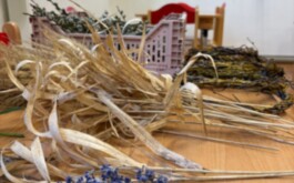 2026.04.01 - Jarní workshop